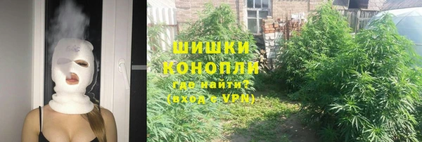 молекула духа Касимов